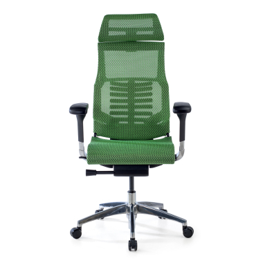 ergonomische bureaustoel groen zwarte structuur netstof mesh 5d verstelbare armleuningen lumbale steun hoofdsteun 3