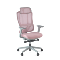 Ergonomische bureaustoel...