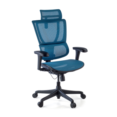 ergonomische bureaustoel blauw bureaustoel netstof mesh 3d verstelbare armleuningen lumbale steun hoofdsteun 1