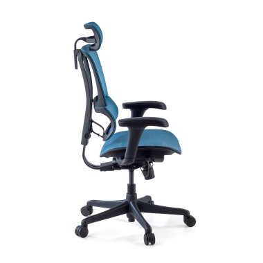 ergonomische bureaustoel blauw bureaustoel netstof mesh 3d verstelbare armleuningen lumbale steun hoofdsteun 5