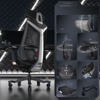 Gamingstoel BloodDragon,...