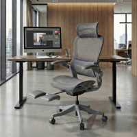 Ergonomische stoel met hoofdsteun Erghos X1, goedgekeurd
