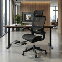 Ergonomische stoel met hoofdsteun Erghos X1, goedgekeurd
