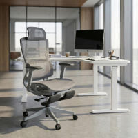 Ergonomische bureaustoel Balance Pro, met voetsteun, 3D armleuningen