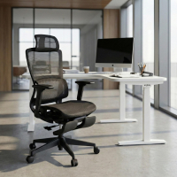 Ergonomische bureaustoel Balance Pro, met voetsteun, 3D armleuningen