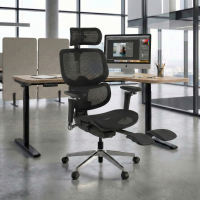 Ergonomische bureaustoel Erghos X2, flexibele lendensteun