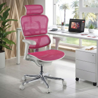 Ergonomische bureaustoel Ergohuman Edition I, luxueus, wit frame