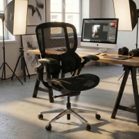 Ergonomische stoel Erghos One, orthopedisch, dubbele lendensteun