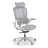 Ergonomische stoel met hoofdsteun Erghos One, orthopedisch, dubbele lendensteun