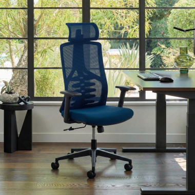 ergonomische bureaustoel blauw quick netstof mesh 3d verstelbare armleuningen lumbale steun hoofdsteun 2