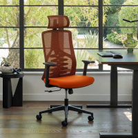 Ergonomische bureaustoel...