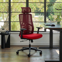 Ergonomische bureaustoel...