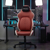 Ergonomische gamingstoel...