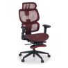 Ergonomische bureaustoel Every, met voetsteun, Mesh bekleding