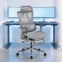 Ergonomische bureaustoel...