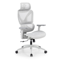 Ergonomische bureaustoel...