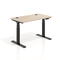 Elektrisch zit-sta bureau...