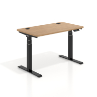 Elektrisch zit-sta bureau...