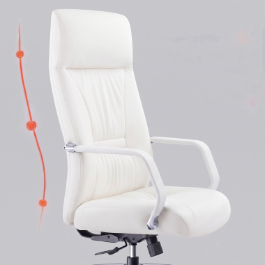 Ergonomische rugleuning met 3 steunzones