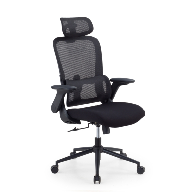 ergonomische bureaustoel zwart dexter netstof mesh opklapbare armleuningen lumbale steun hoofdsteun 1
