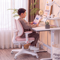 Ergonomische...