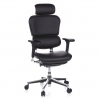 Ergonomische Bureaustoel Ergohuman, premium model, aluminium, mesh