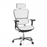 Ergonomische Bureaustoel Ergohuman, premium model, aluminium, mesh