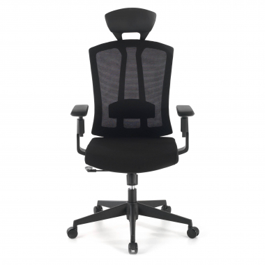 ergonomische bureaustoel zwart ridley netstof mesh 3d verstelbare armleuningen lumbale steun hoofdsteun 4