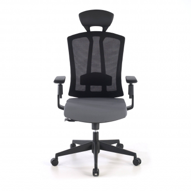 ergonomische bureaustoel grijs ridley netstof mesh 3d verstelbare armleuningen lumbale steun hoofdsteun 4