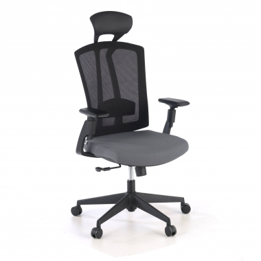 ergonomische bureaustoel grijs ridley netstof mesh 3d verstelbare armleuningen lumbale steun hoofdsteun 1