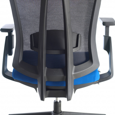 ergonomische bureaustoel blauw ridley netstof mesh 3d verstelbare armleuningen lumbale steun hoofdsteun 6