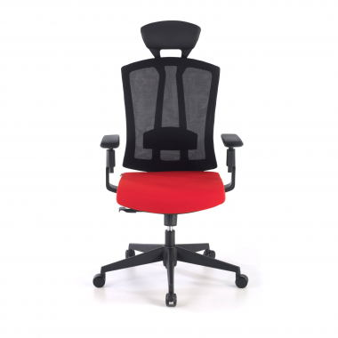 ergonomische bureaustoel rood ridley netstof mesh 3d verstelbare armleuningen lumbale steun hoofdsteun 6