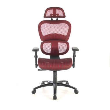 ergonomische bureaustoel rood zwarte structuur netstof mesh 3d verstelbare armleuningen dubbele lumbale steun hoofdsteun 5