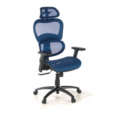 ergonomische bureaustoel blauw zwarte structuur netstof mesh 3d verstelbare armleuningen dubbele lumbale steun hoofdsteun 1