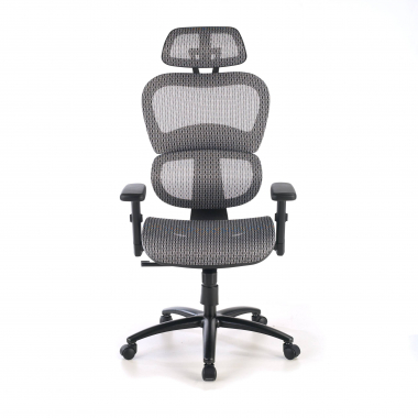 ergonomische bureaustoel grijs zwarte structuur netstof mesh 3d verstelbare armleuningen dubbele lumbale steun hoofdsteun 5