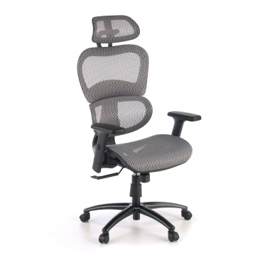 ergonomische bureaustoel grijs zwarte structuur netstof mesh 3d verstelbare armleuningen dubbele lumbale steun hoofdsteun 1