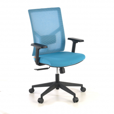 ergonomische bureaustoel blauw zwarte structuur hoofdsteun netstof mesh 1d verstelbare armleuningen lumbale steun 1