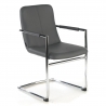 Vergaderstoel Dallas, ergonomische rugleuning, metalen sledeframe, comfortabel en robuust 210873 - (Outlet)