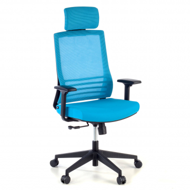 bureaustoel blauw met hoofdkussen netstof mesh 1d verstelbare armleuningen lumbale steun hoofdsteun 1