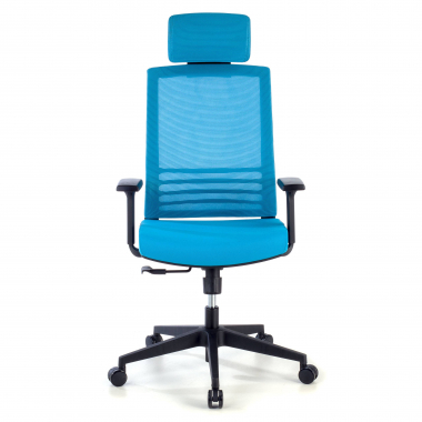 bureaustoel blauw met hoofdkussen netstof mesh 1d verstelbare armleuningen lumbale steun hoofdsteun 3