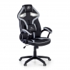 Gamestoel Warrior, onderrugsteun, gevoerd