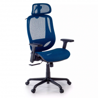 ergonomische bureaustoel blauw locktech netstof mesh 1d verstelbare armleuningen lumbale steun hoofdsteun 1