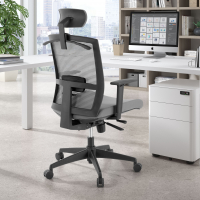 Ergonomische bureaustoel Akira, met hoofdsteun