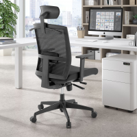 Ergonomische bureaustoel Akira, met hoofdsteun