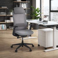 Ergonomische bureaustoel Intouch Black, met nekkussen, volledig verstelbaar