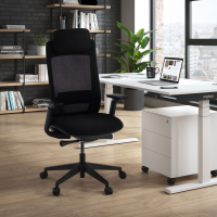 Ergonomische bureaustoel Intouch Black, met nekkussen, volledig verstelbaar