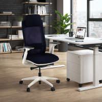 Ergonomische bureaustoel Intouch White, met nekkussen, volledig verstelbaar