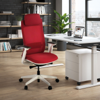 Ergonomische bureaustoel Intouch White, met nekkussen, volledig verstelbaar