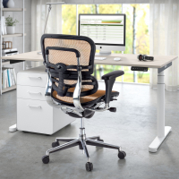 Ergonomische Bureaustoel Ergohuman, premium model, aluminium, mesh