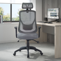 Bureaustoel Lake, verstelbare armleuningen, met hoofdsteun, Mesh bekleding